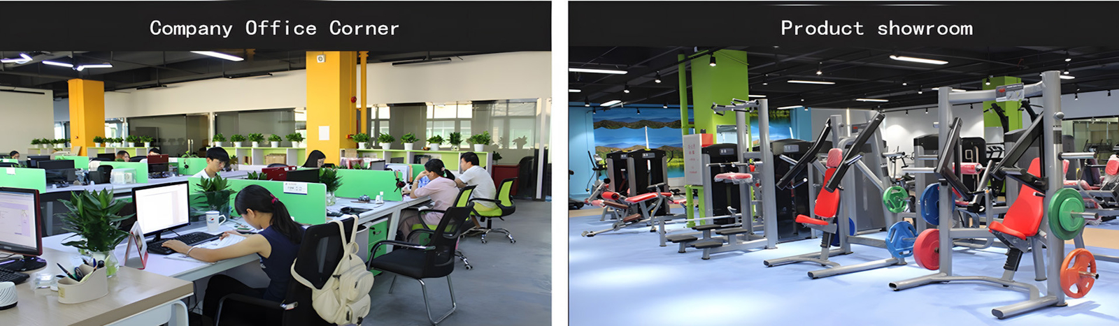 China Qingdao Hongbinsheng Health Sci.&Tech.，Ltd. Company Profile 